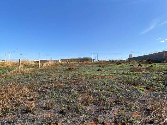 #9 - Terreno para Venda em Valparaíso de Goiás - GO - 2